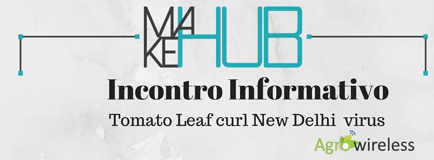 Incontro Informativo Tomato Leaf curl new delhi virus